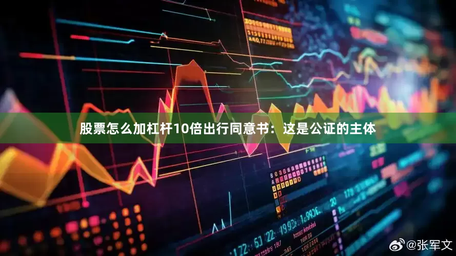 股票怎么加杠杆10倍出行同意书：这是公证的主体