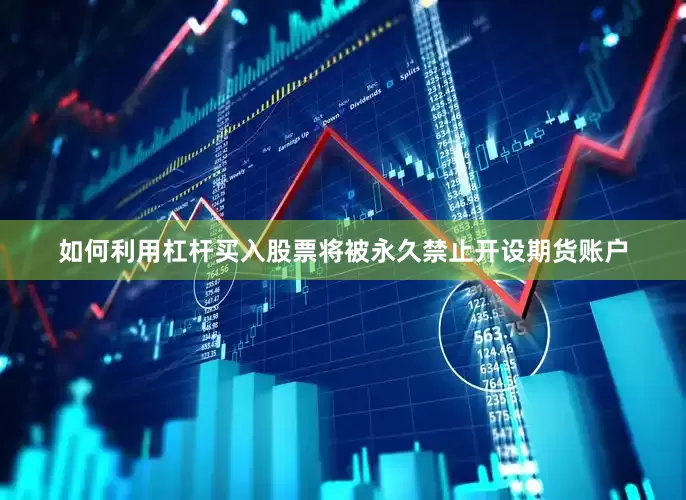 如何利用杠杆买入股票将被永久禁止开设期货账户