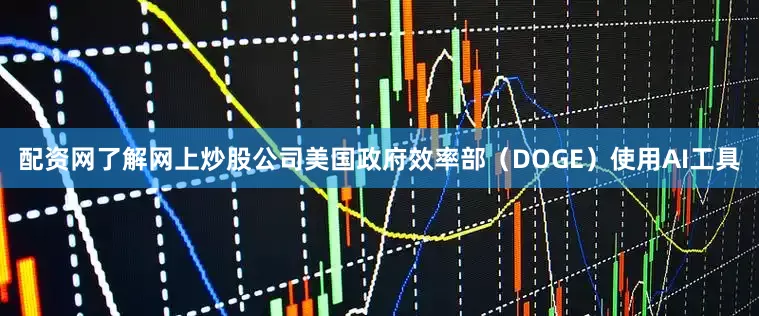 配资网了解网上炒股公司美国政府效率部（DOGE）使用AI工具