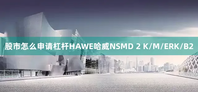 股市怎么申请杠杆HAWE哈威NSMD 2 K/M/ERK/B2