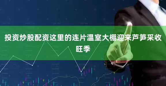 投资炒股配资这里的连片温室大棚迎来芦笋采收旺季