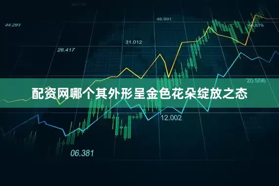 配资网哪个其外形呈金色花朵绽放之态