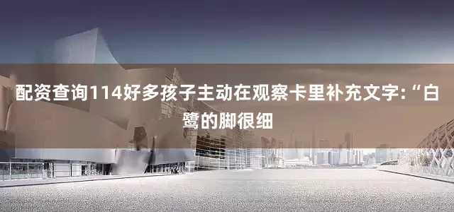 配资查询114好多孩子主动在观察卡里补充文字:“白鹭的脚很细